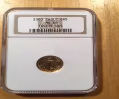 American Gold Eagle Coin