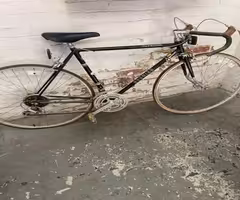 Schwinn Superior