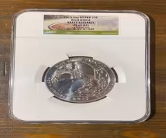 NGC 2.5oz. & 5oz. .999 Silver Coins