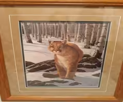 Mountain Lion/Cougar signed/numbered print~